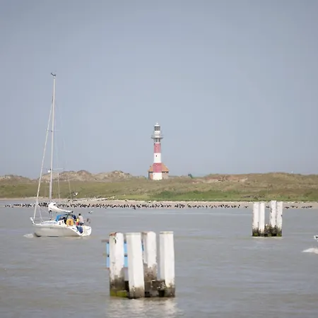 Lejlighed In With Garden Nieuwpoort